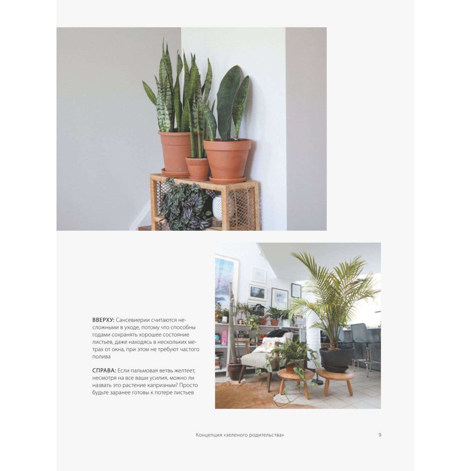 Книга БОМБОРА Зеленый дом Самое понятное руководство по уходу за комнатными растениями - фото 8