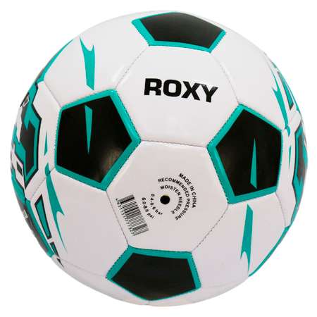 Мяч футбольный InGame ROXY №5 голубой