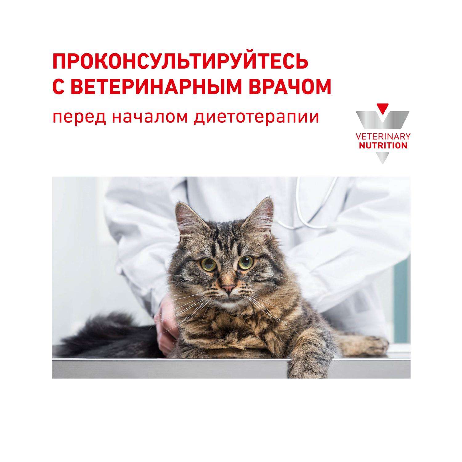 Корм для кошек ROYAL CANIN Veterinary Diet Renal Feline при лечении почек кусочки в соусе курица 85г - фото 8