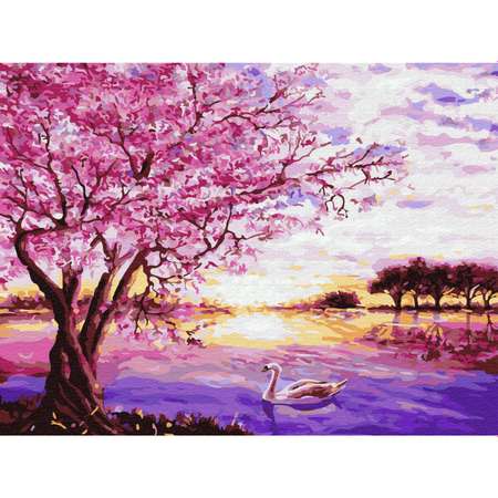 Картина по номерам Цветной Сакура и лебедь 30x40 см