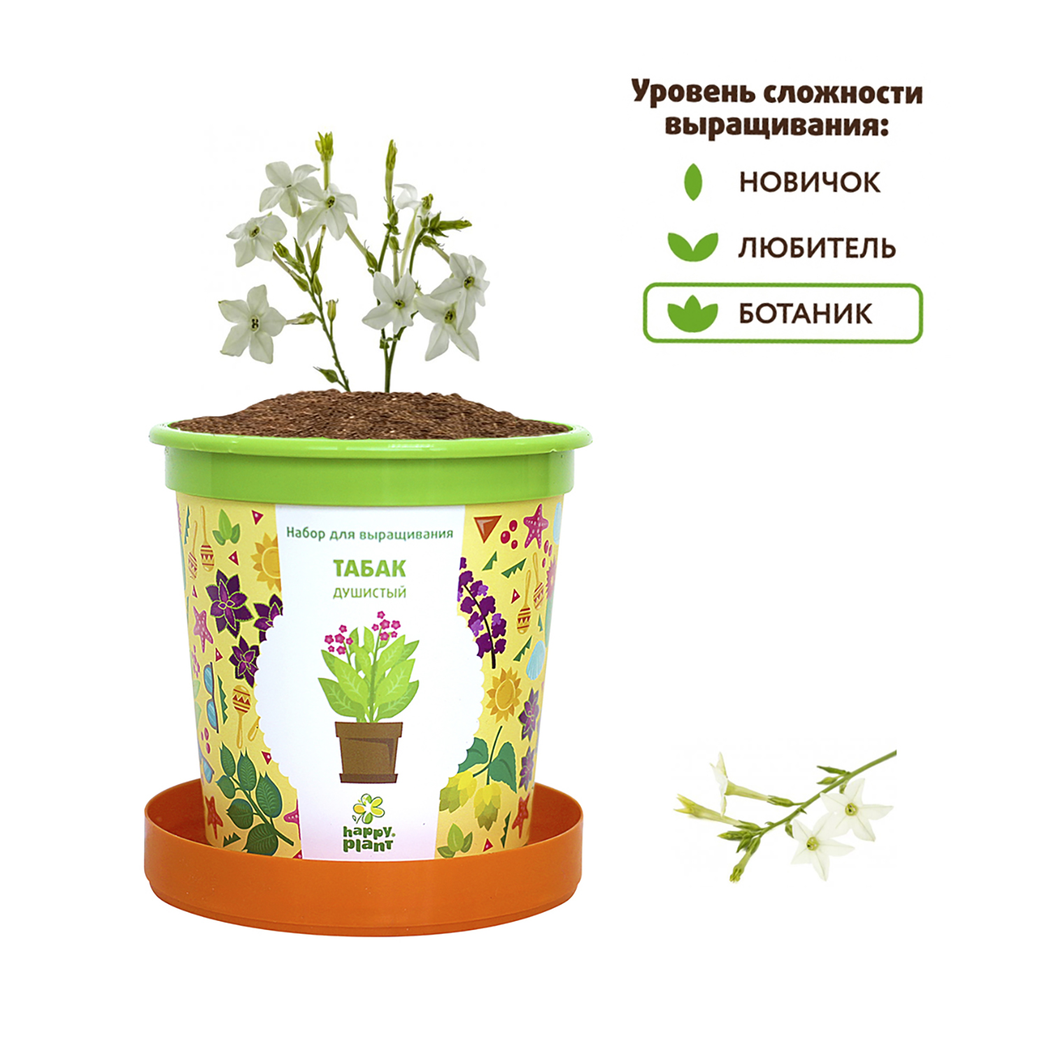 Набор для выращивания Happy Plant Вырасти сам растение в горшочке Табак душистый - фото 5