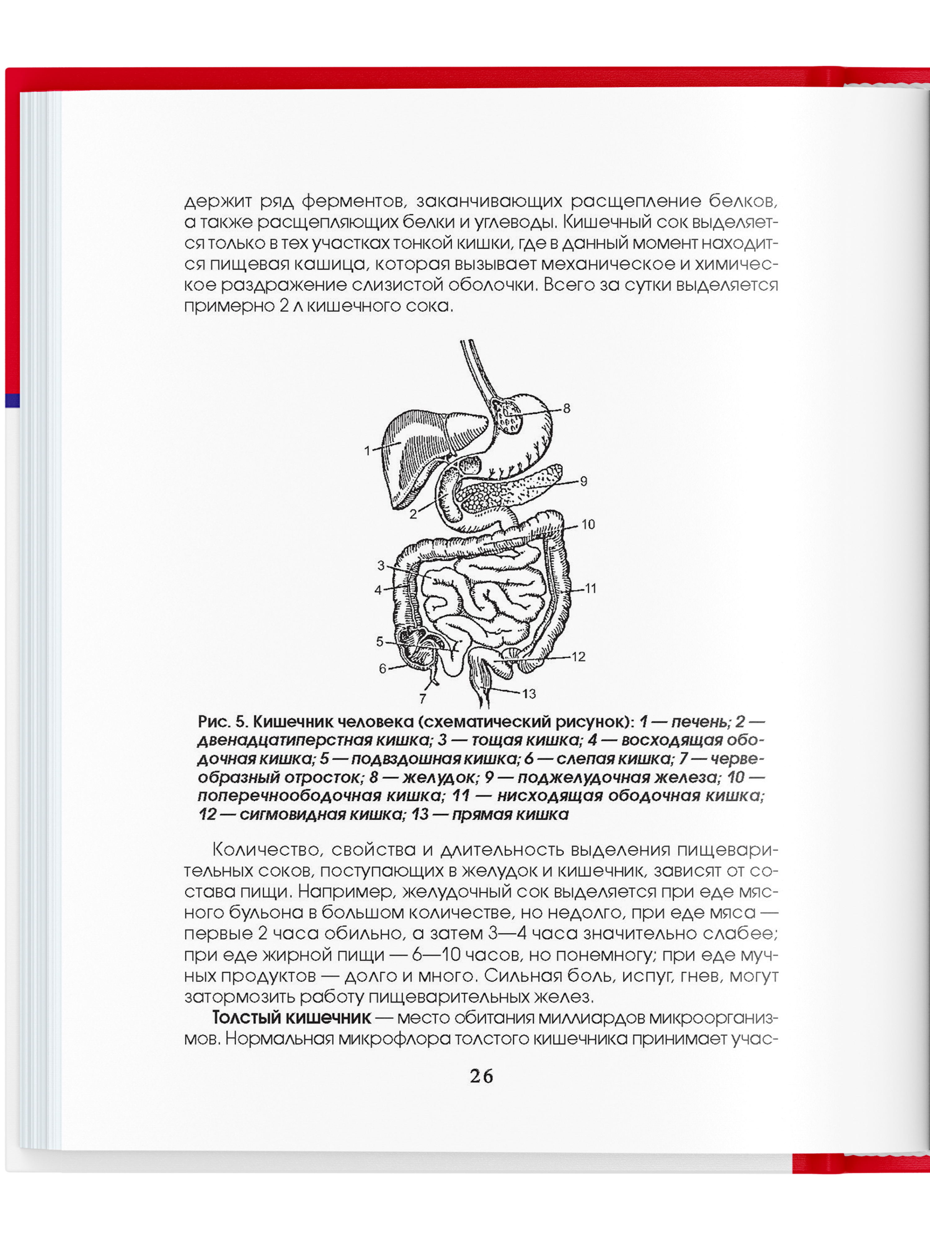 Книга Харвест Медицинская книга Энциклопедия Справочник Словарь терминов Здоровье человека - фото 6