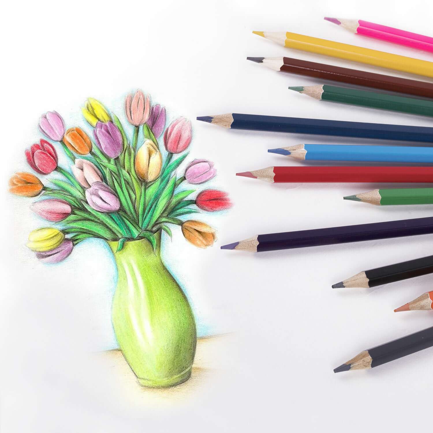 Карандаши цветные Brauberg художественные для рисования стираемые с ластиком - фото 9