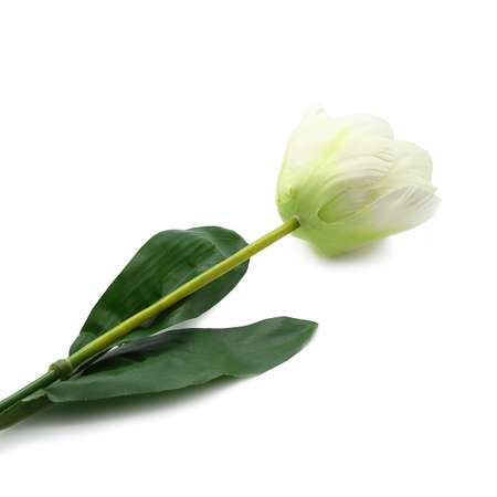 Цветок искусственный Astra Craft Тюльпан 46 см цвет белый
