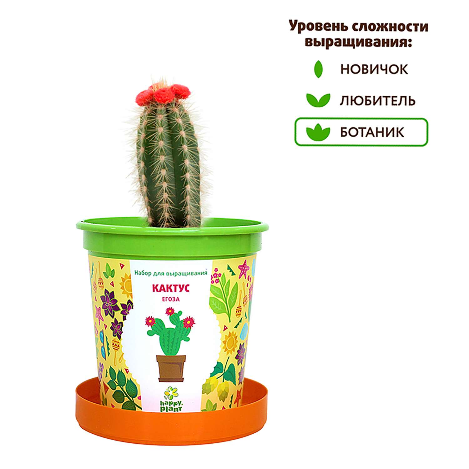 Набор для выращивания Happy Plant Кактус Егоза - фото 5