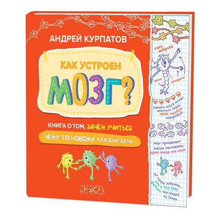 Книга Филипок и Ко Как устроен мозг?