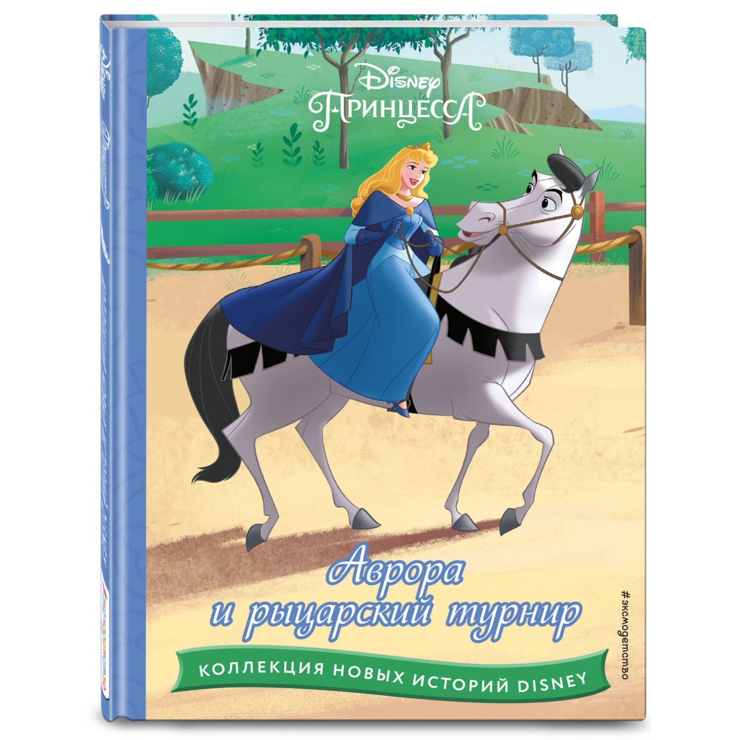 Книга Аврора и рыцарский турнир купить по цене 418 ₽ в интернет-магазине  Детский мир