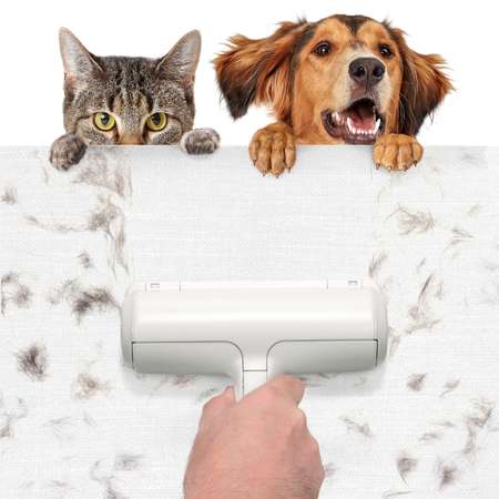 Щетка для удаления шерсти LolUno home Pets Белый LU0115