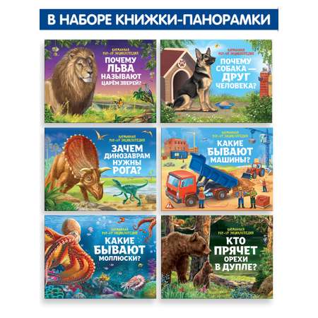 Набор карманных книг Malamalama 6 мини-энциклопедий в сундучке