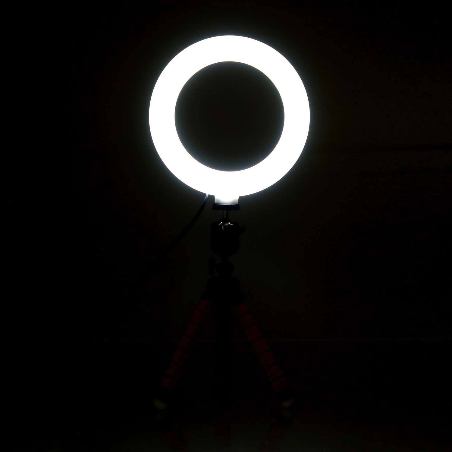 Кольцевая лампа Школа Талантов набор для съёмок видео - фото 10