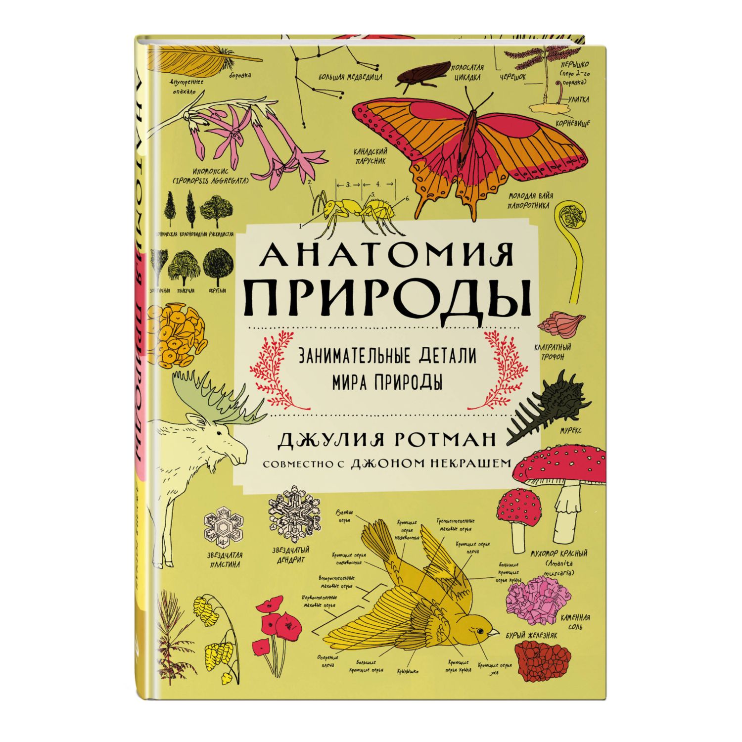 Книга ЭКСМО-ПРЕСС Анатомия природы Занимательные детали мира природы - фото 1