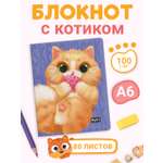 Блокнот Проф-Пресс карманный скетчбук А6 80 листов. MeowBook Нежный пончик