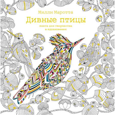 Книга Махаон Дивные птицы. Книга для творчества и вдохновения