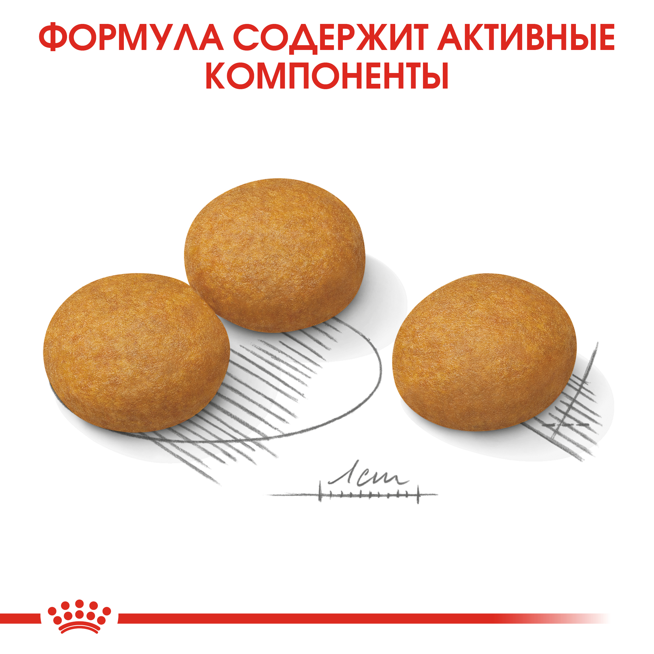 Сухой корм для собак ROYAL CANIN Dermacomfort 10 кг (лечебный) - фото 6