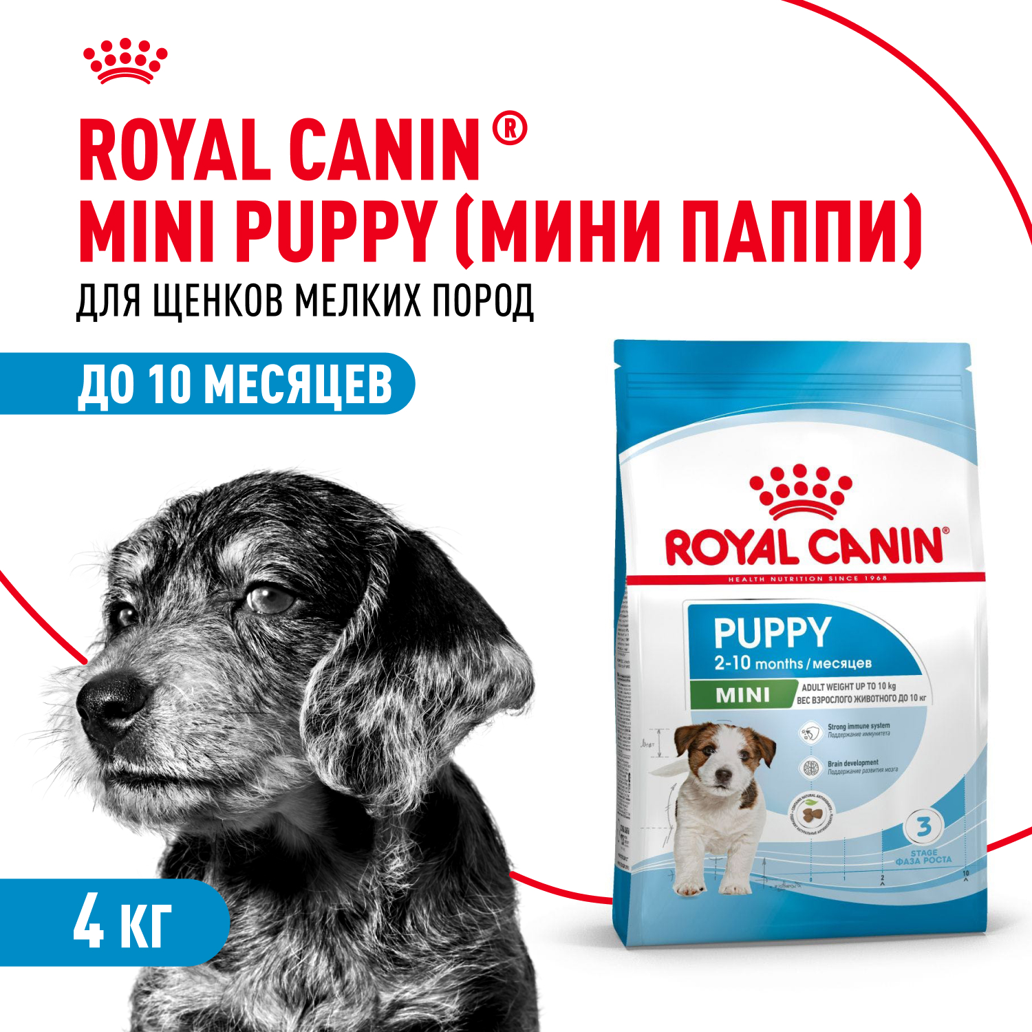 Корм для щенков ROYAL CANIN Puppy мелких пород 4кг - фото 1