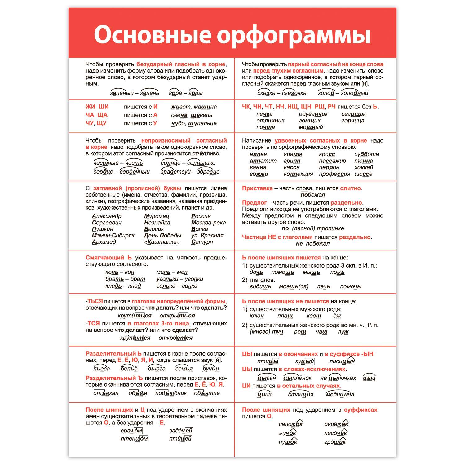 Набор обучающих плакатов Дрофа-Медиа Русский язык 1-4 класс 4021 - фото 6