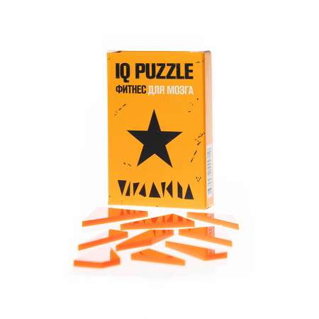 Настольная игра IQ PUZZLE Головоломка