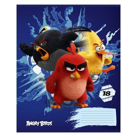 Тетрадь Академия Холдинг Angry Birds 18л клетка