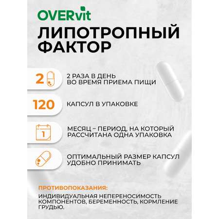 Липотропный фактор OVER БАД Жиросжигатель витамины для похудения и контроля веса 120 капсул