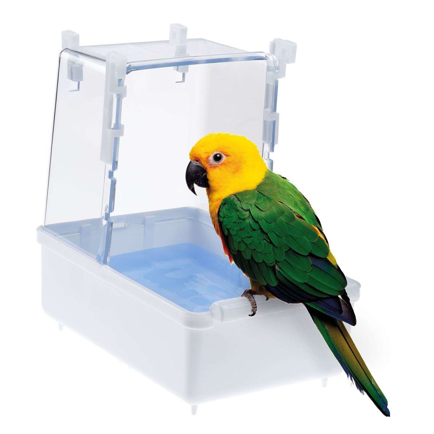 Ванночка для попугаев Ferplast L101 средних в ассортименте 93122099 - фото 4