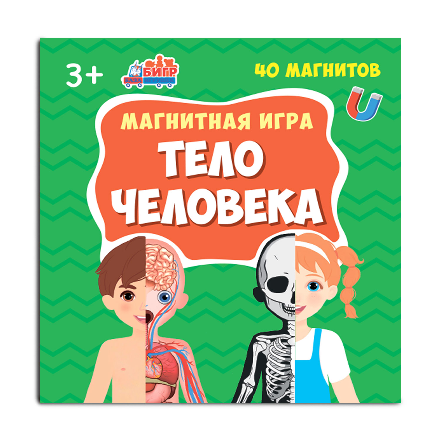 Развивающая магнитная игра Бигр Тело человека УД95 - фото 10