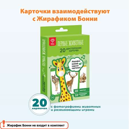 Набор развивающих карточек BertToys Первые животные