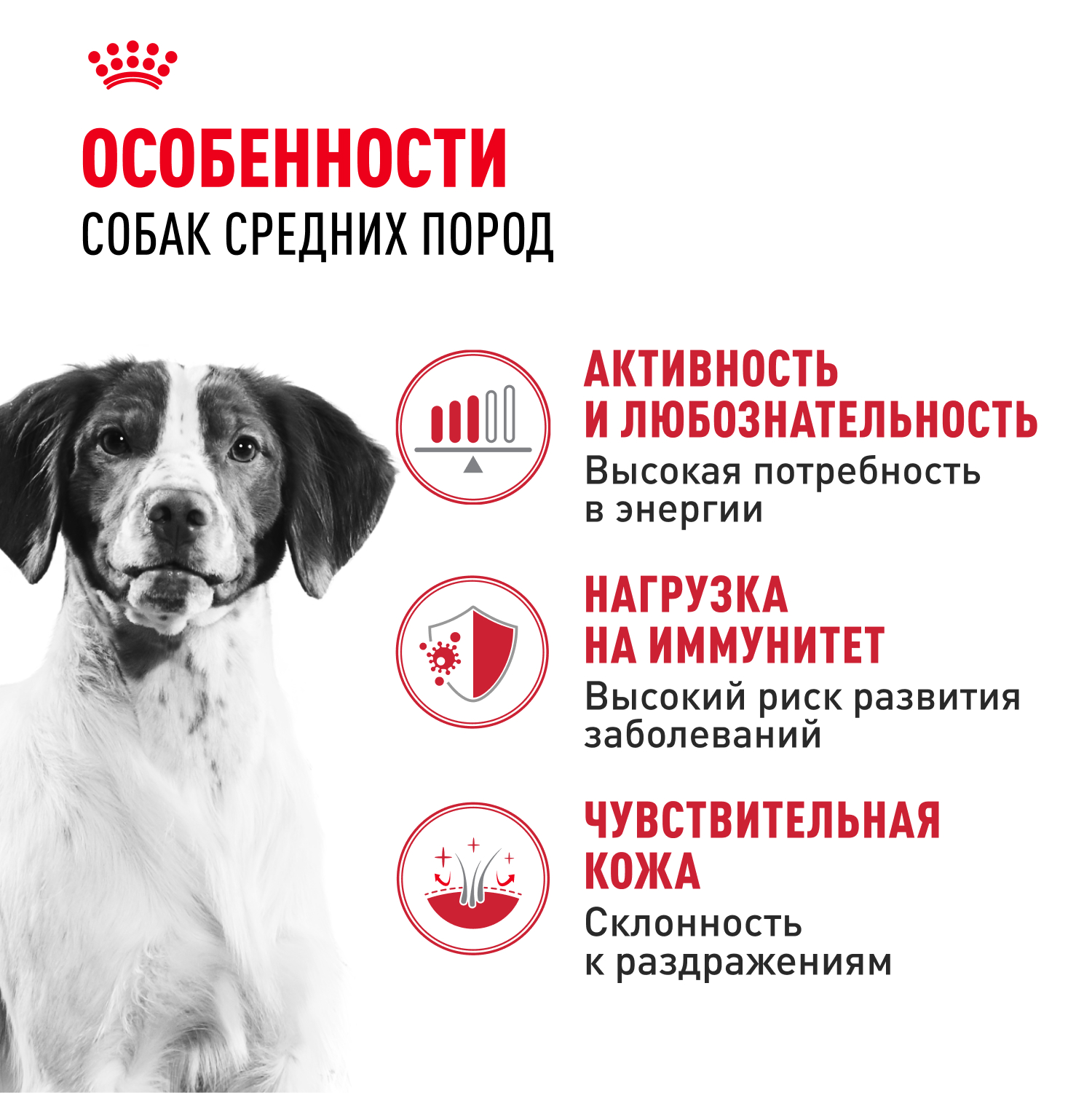 Корм для собак ROYAL CANIN средних пород 15кг - фото 3