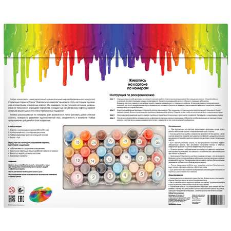 Набор для рисования Белоснежка 3074-CS Медовая сова