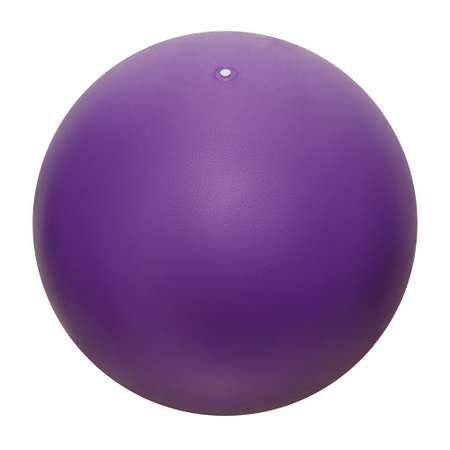 Фитбол STRONG BODY 65 см ABS антивзрыв фиолетовый для фитнеса Насос в комплекте
