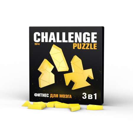 Игра логическая IQ PUZZLE Головоломка № 4 5 деталей