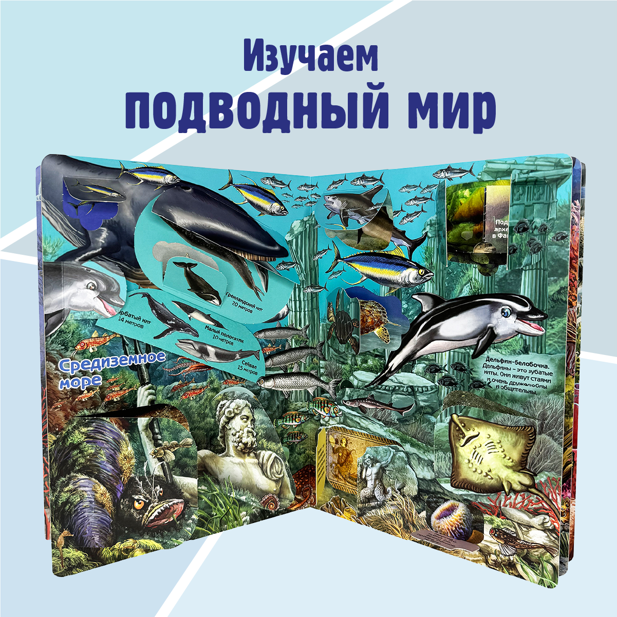 Энциклопедия с окошками BimBiMon книга детская - фото 4