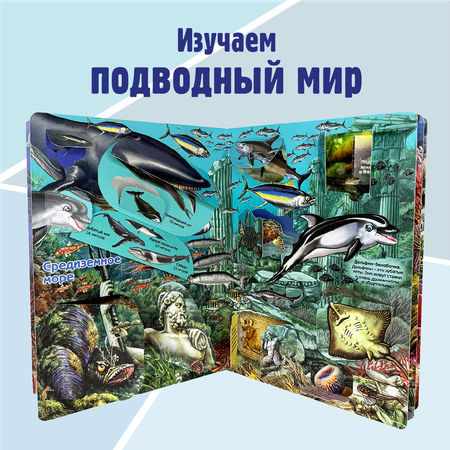 Энциклопедия с окошками BimBiMon книга детская