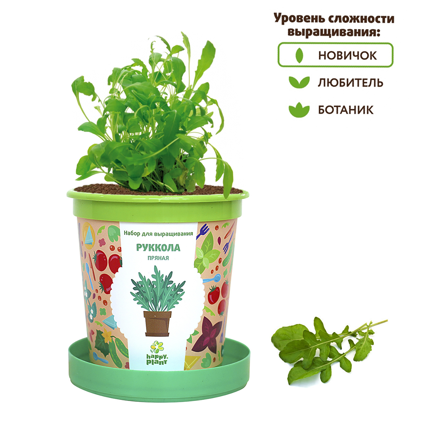 Набор для выращивания Happy Plant Вырасти сам растение в горшочке Руккола  пряная купить по цене 335 ₽ в интернет-магазине Детский мир