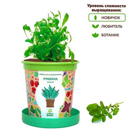 Набор для выращивания Happy Plant Вырасти сам растение в горшочке Руккола пряная