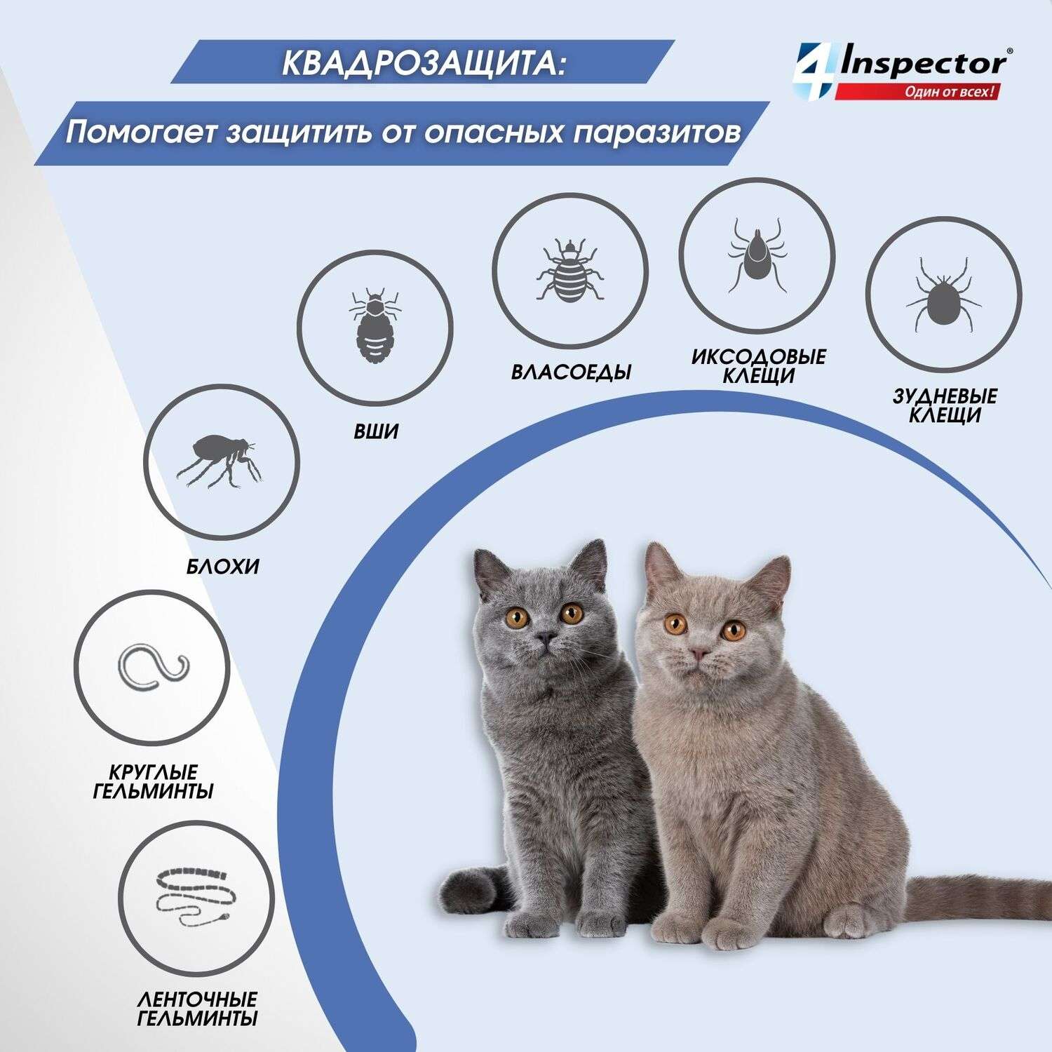Капли для кошек Inspector Quadro 1-4кг от наружных и внутренних паразитов 0.4мл - фото 4
