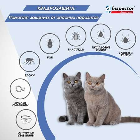 Капли для кошек Inspector Quadro 1-4кг от наружных и внутренних паразитов 0.4мл