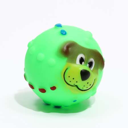 Игрушка Пижон пищащая Мяч Джим для собак 6 см зелёная