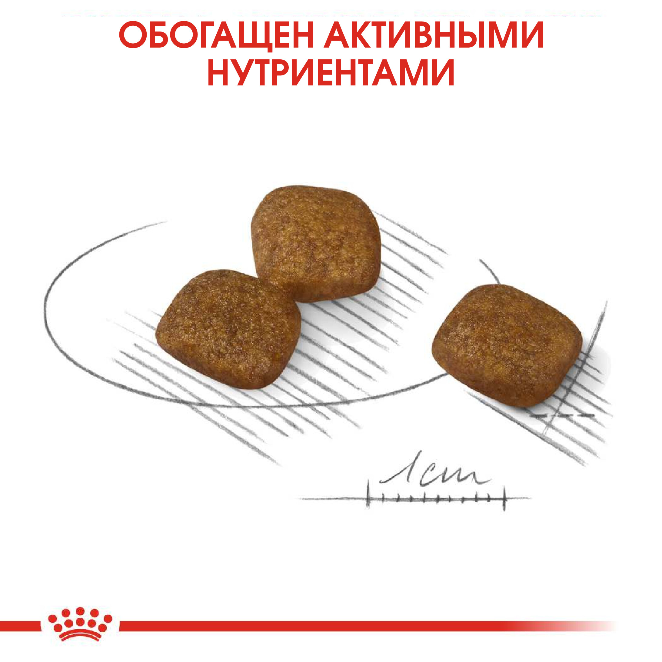 Сухой корм для собак ROYAL CANIN 3 кг (для домашних, для вывода шерсти, полнорационный) - фото 5