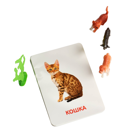 Развивающий набор IQ-ZABIAKA с карточками по методике Домана Домашние животные