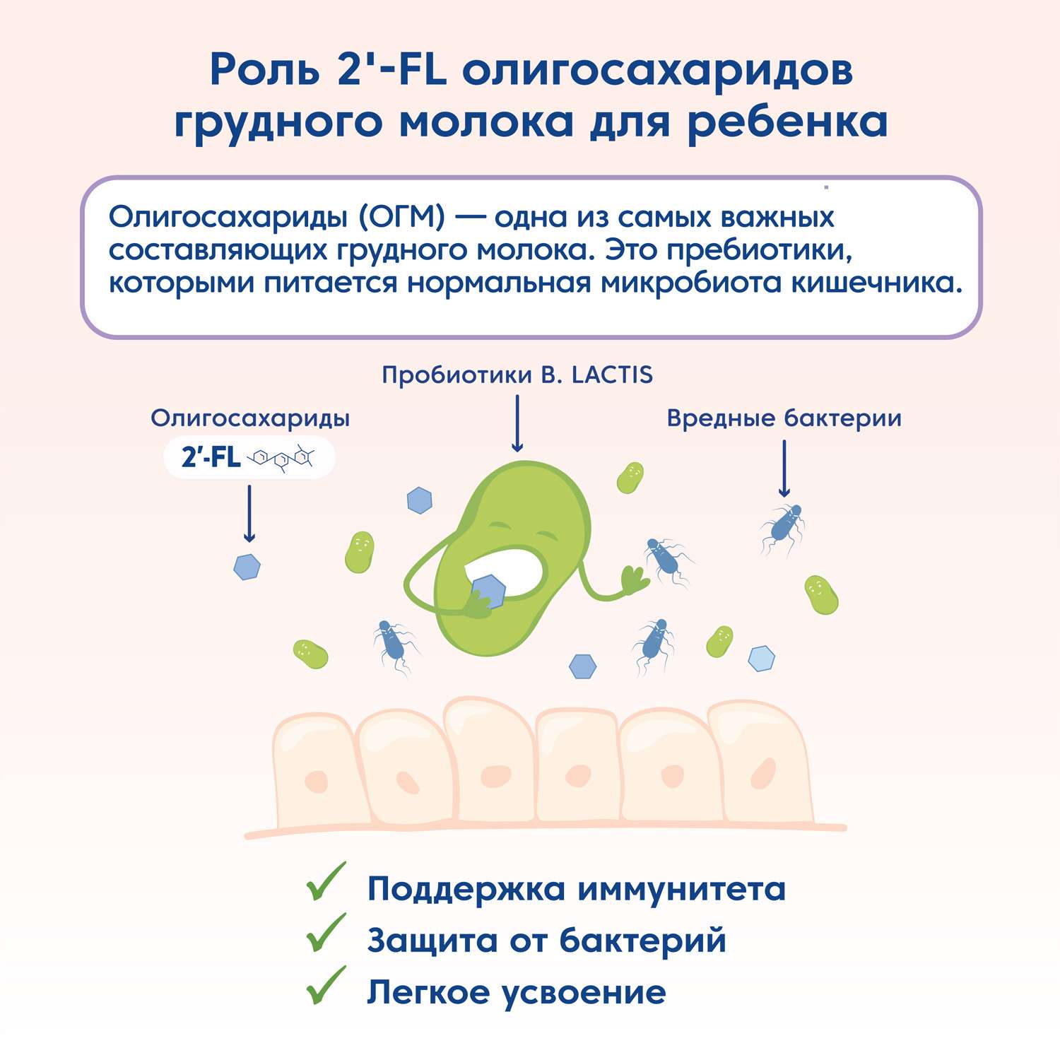 Смесь Мамако 2 Premium на козьем молоке 400г с 6месяцев - фото 9