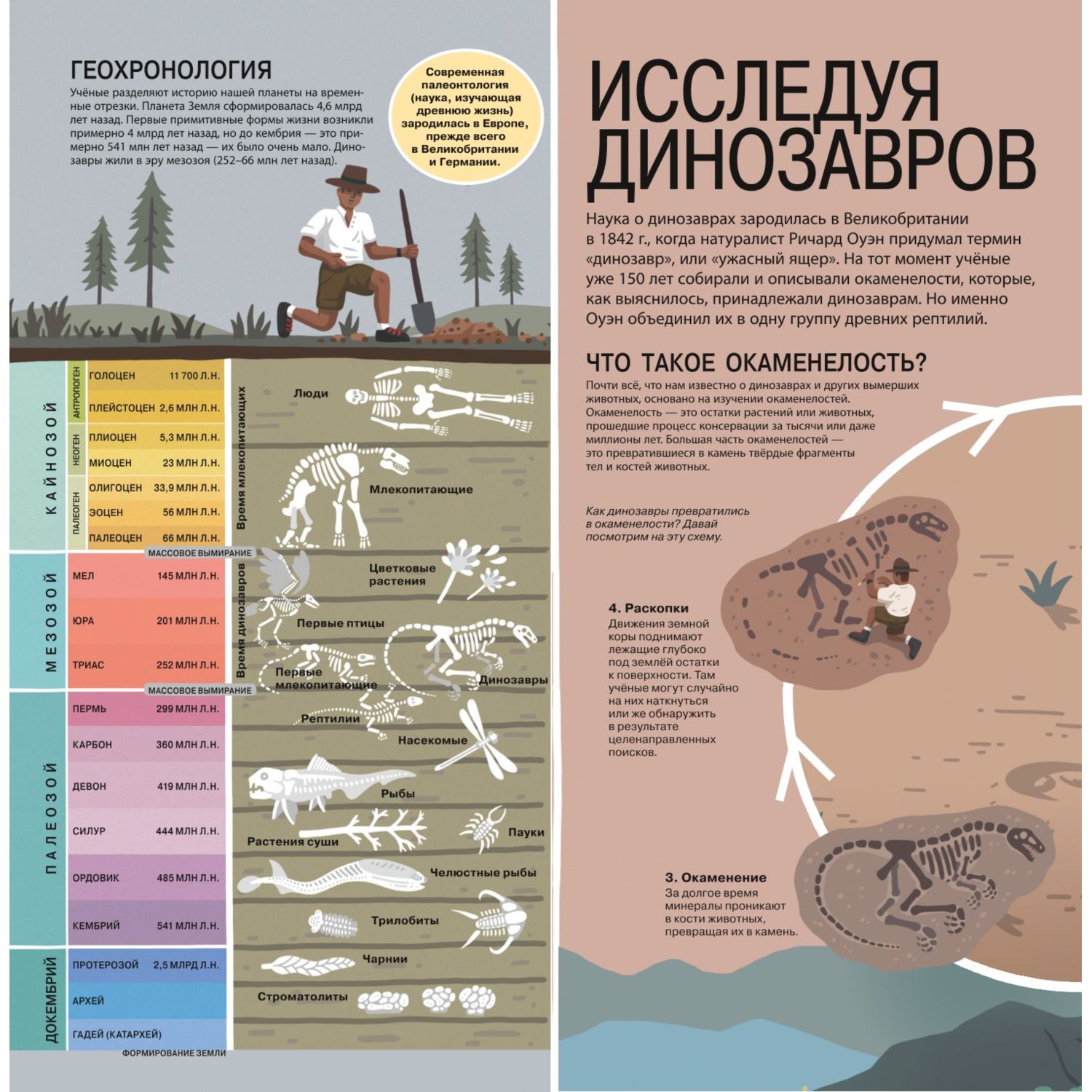 Книга Эксмо Все динозавры Моя первая энциклопедия - фото 6