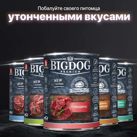 Корм влажный Зоогурман Big Dog