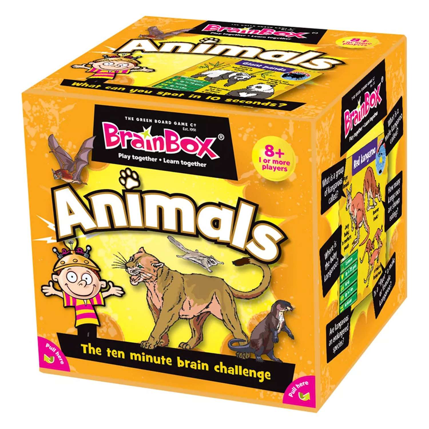 Настольная игра BrainBox Сундучок Знаний Animals на английском языке - фото 1