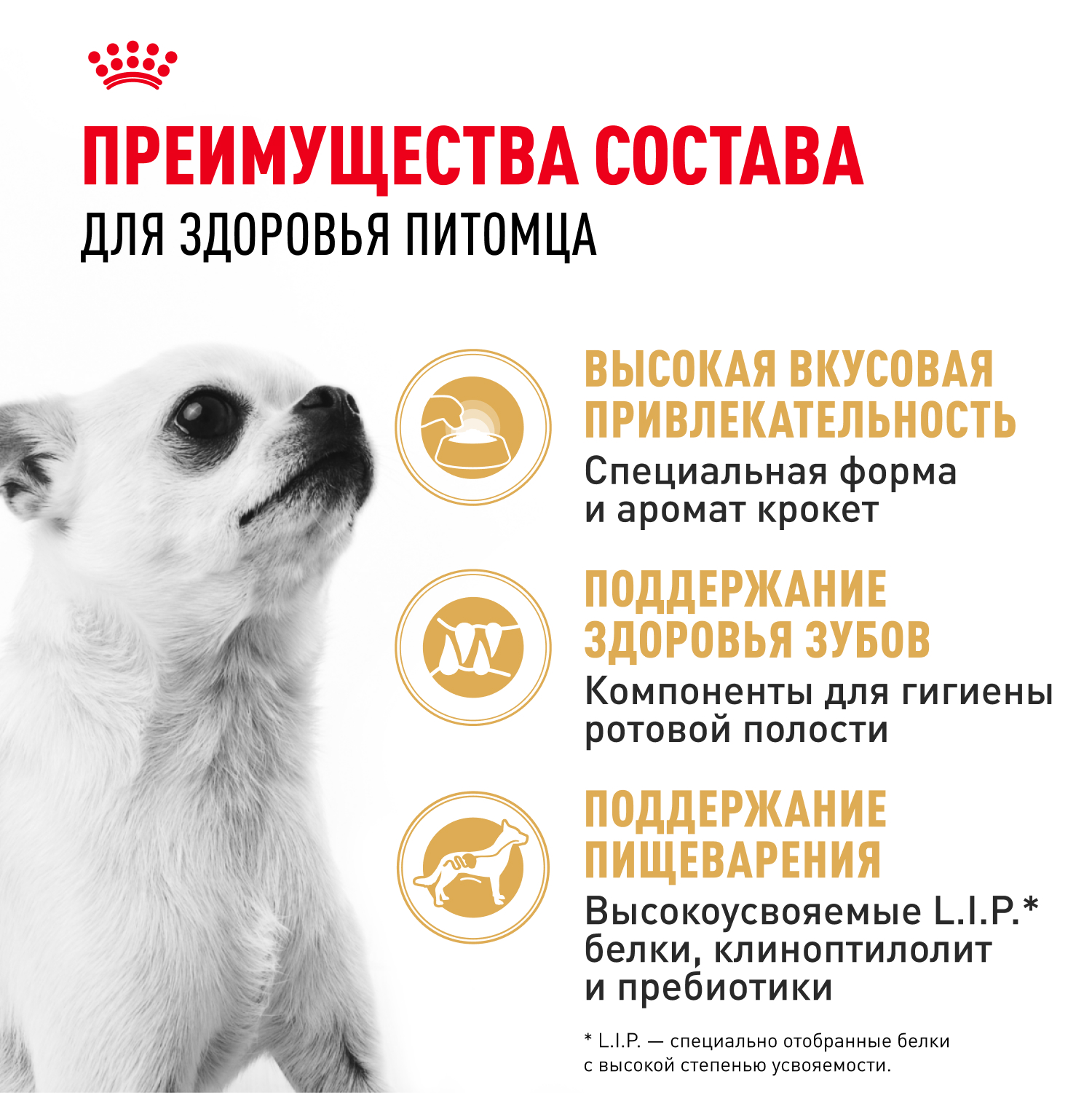 Корм для собак ROYAL CANIN породы чихуахуа 3кг - фото 4