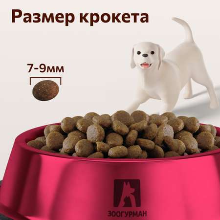 Корм сухой Зоогурман полнорационный для взрослых собак мелких и средних пород Smolly dog Говядина 5 кг