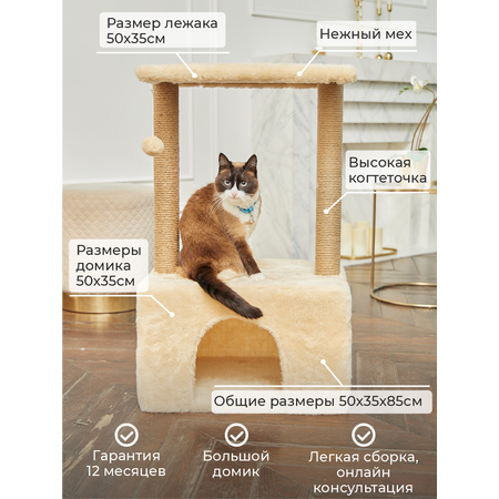 Комплексы для кошек Пушок купить в магазине Пушок-онлайн