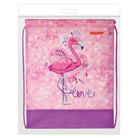 Мешок для обуви Пифагор 1 отделение 42х34 см Cute Flamingo