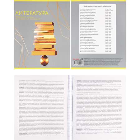 Набор предметных тетрадей Prof-Press Золото знаний 48 листов 12 тетрадей