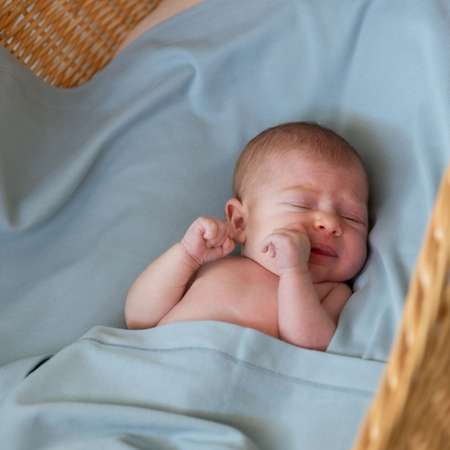 Плед-пеленка для новорожденных НаследникЪ Выжанова из органического хлопка 105х120 см в кроватку в коляску