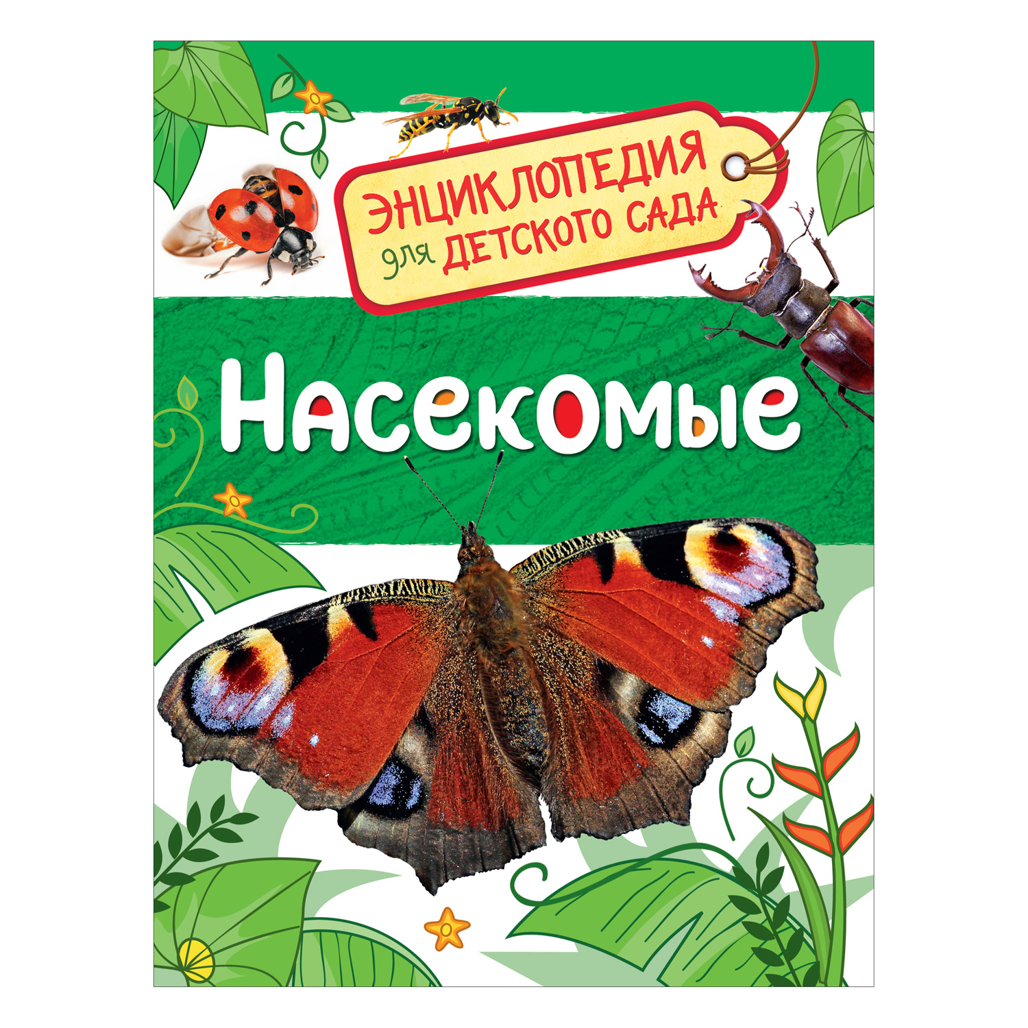 Книга Росмэн Насекомые Энциклопедия для детского сада купить по цене 99 ₽ в  интернет-магазине Детский мир